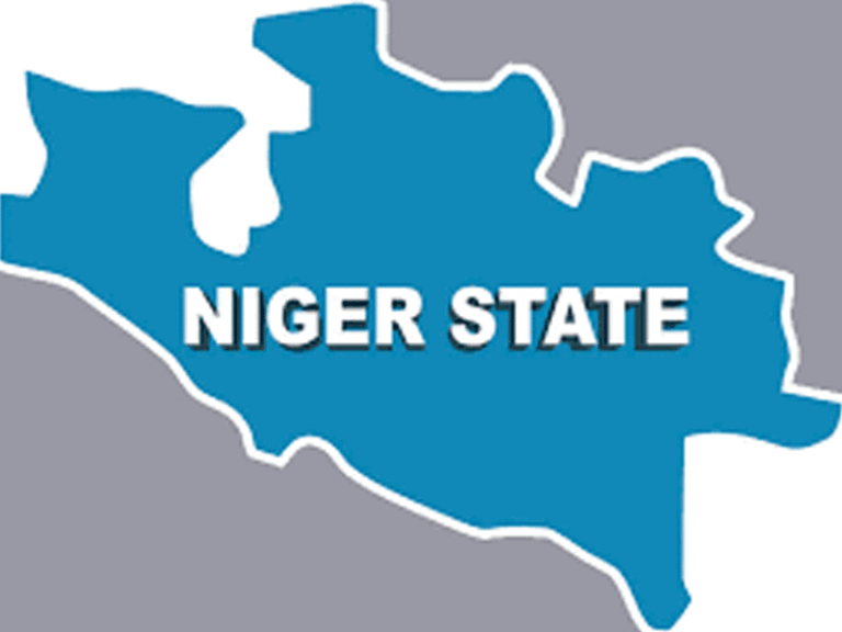 Niger APC Faces Division as Key Members Align with ADC – THISDAYLIVE