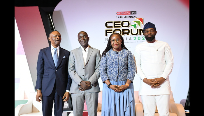Nigeria Faces Potential Youth Crisis Similar to the Middle East Without Immediate Investment in Human Capital