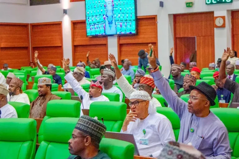 Officials Disagree on Summoning Tinubu Regarding Budget Delays as Abbas Emphasizes Due Process