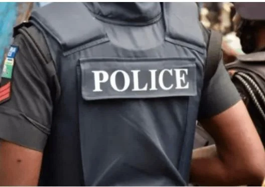 Oyo Police Apprehend Two Suspected Armed Robbers and Seize Firearms