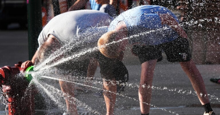 Record High Achieved in Sea Surface Temperature