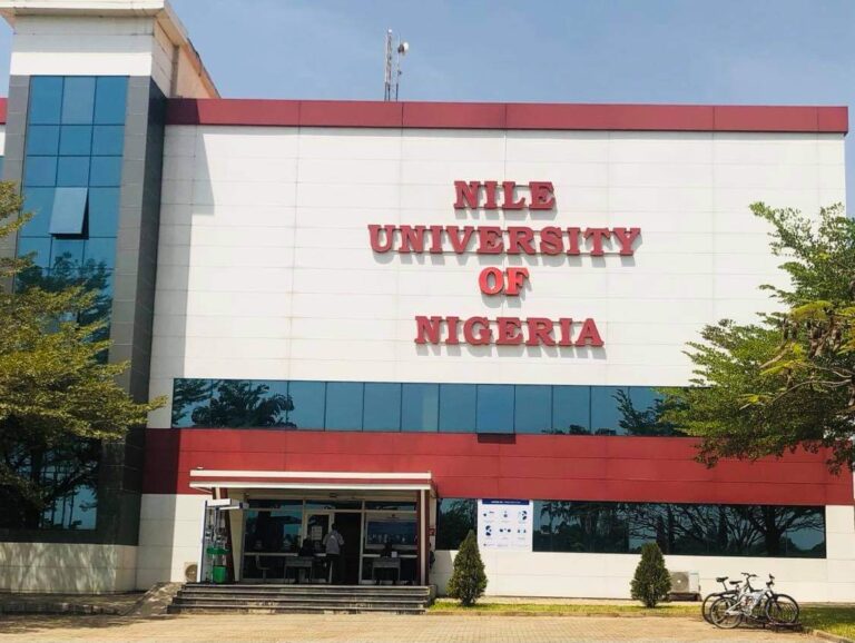 Socio-Economic and Investment Risks in Africa Amidst Geo-Economic Readjustment