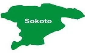 Tragic Road Accident Claims Lives of Nine Job Seekers in Sokoto