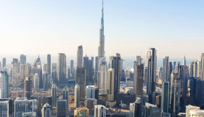 UAE Reinforces Commitment to Africa with Emphasis on Development and Innovation